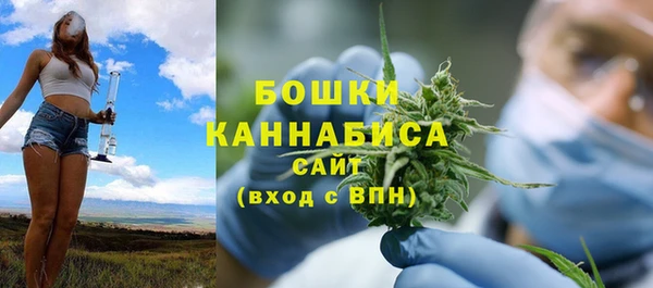 spice Богородицк