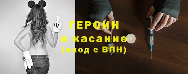spice Богородицк