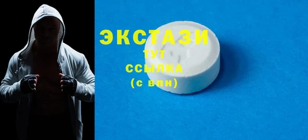 spice Богородицк