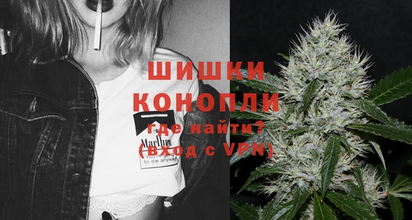 spice Богородицк
