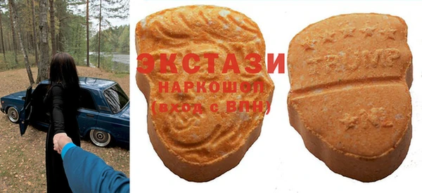 spice Богородицк