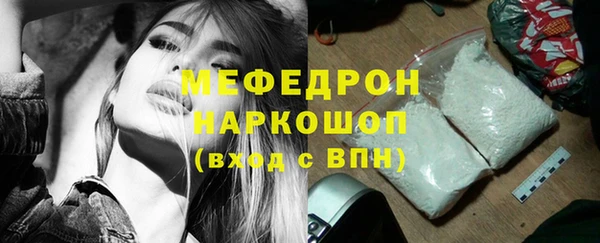 spice Богородицк