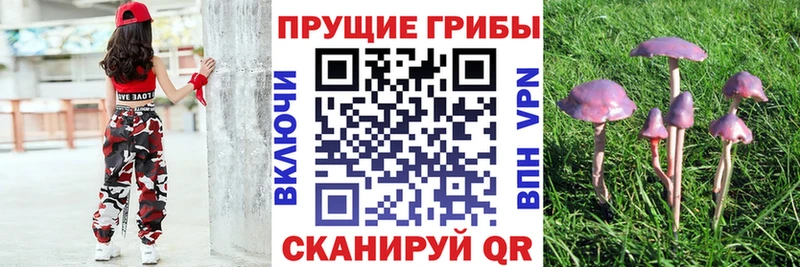 Псилоцибиновые грибы GOLDEN TEACHER  KRAKEN ТОР  Короча 
